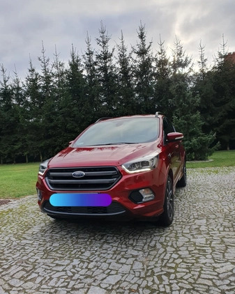 Ford Kuga cena 94500 przebieg: 31255, rok produkcji 2019 z Szamotuły małe 232